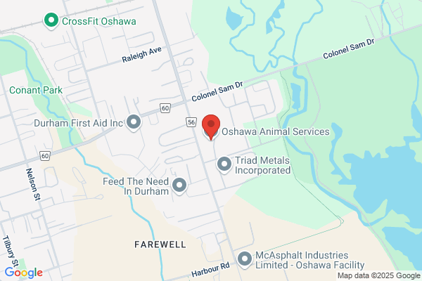 Animal Services, Oshawa (City of), Animal Services