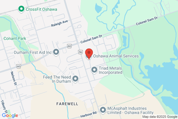 Parks and Recreation, Oshawa (City of), Parks Maintenance Services, Beautification Programs