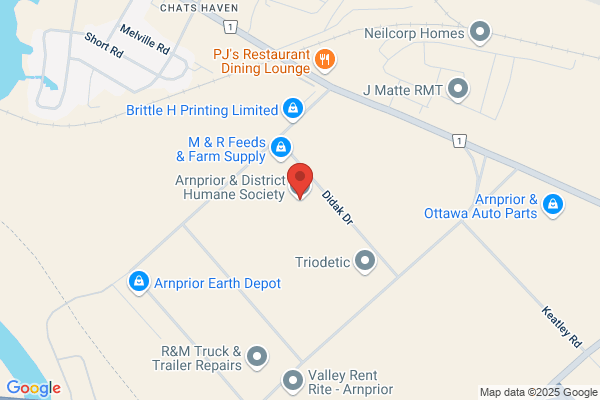 Town of Arnprior Animal Control Services