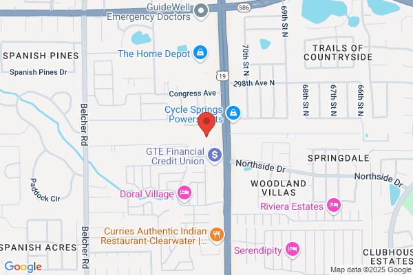 Entertainment Systems Service