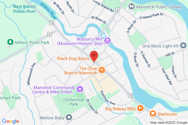 2 Black Dogs
