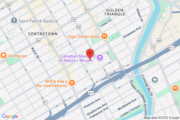Downtown Bed & Breakfast & Spa