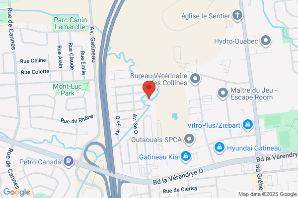 Le Droit Journal, Abonnement-Circulation Dept