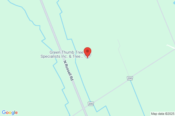 Bytown Tree Removal & Service