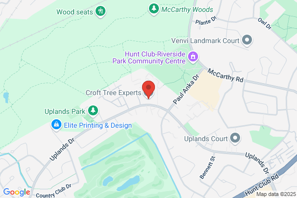 Croft Tree Experts