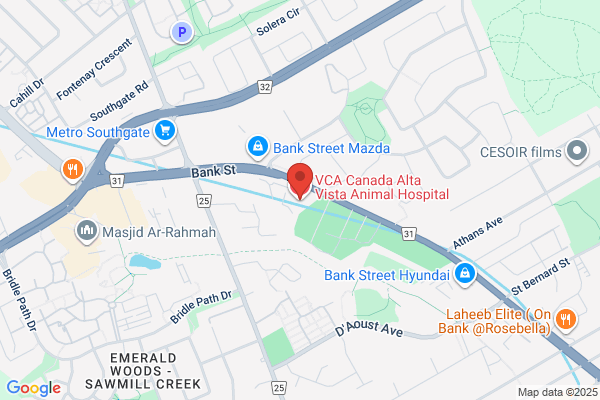 Alta Vista Animal Hospital