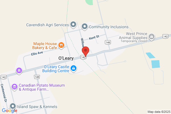 Guardian Drugs