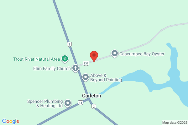 Trout River Industries Inc