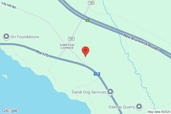 County Electric Ltd
