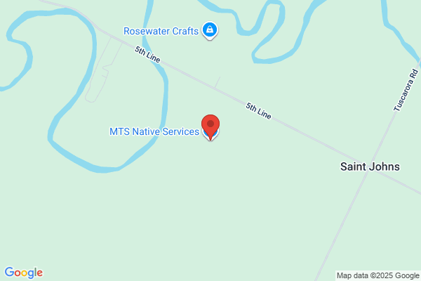 Mts Native Services