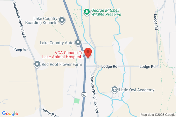 VCA Canada Tri Lake Animal Hospital & Referral Centre