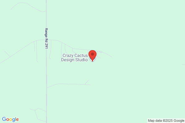 Crazy Cactus Design Studio