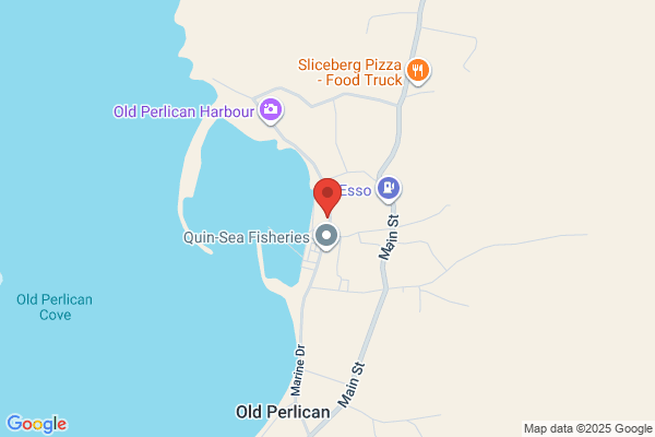 Quinlan Brothers Ltd, Plant