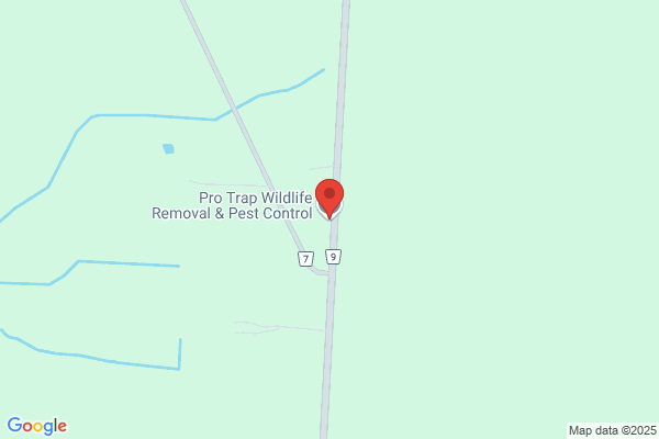 Pro Trap Wildlife Control and Pest Management
