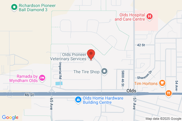 Olds Veterinary Centre Ltd