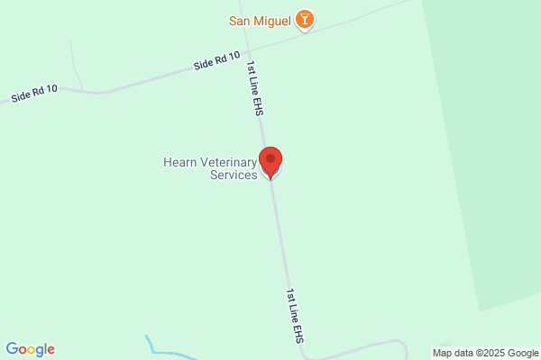 Hearn Veterinary Services