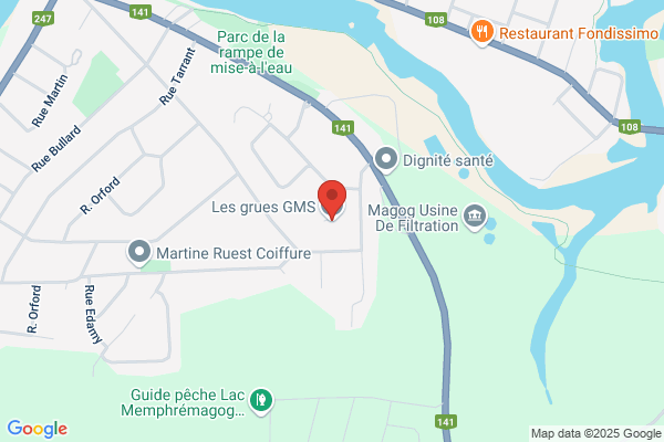 Grues GMS Inc
