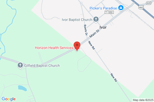 Horizon Health Services Inc