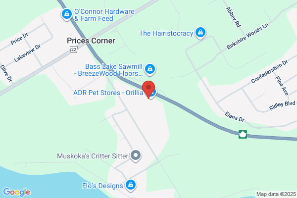 DCM Self Storage