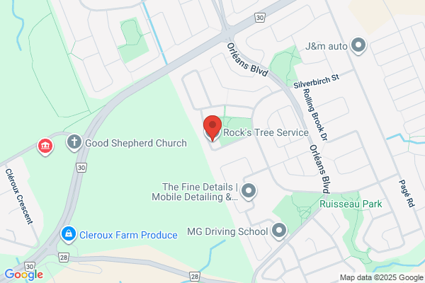 Rock's Tree Service