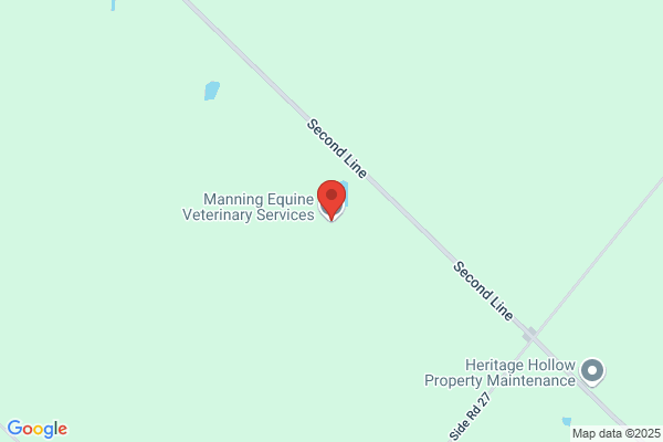 Manning Equine Veterinary Services