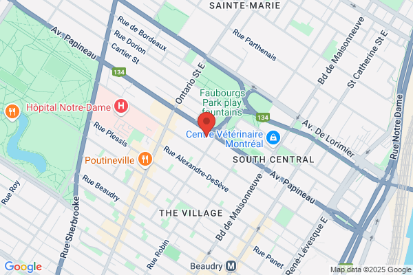 Commission Scolaire De Montreal, Ecoles Primaires, Garneau