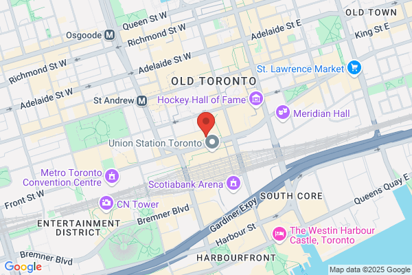 The Canadian Institute of Plastic Surgery
