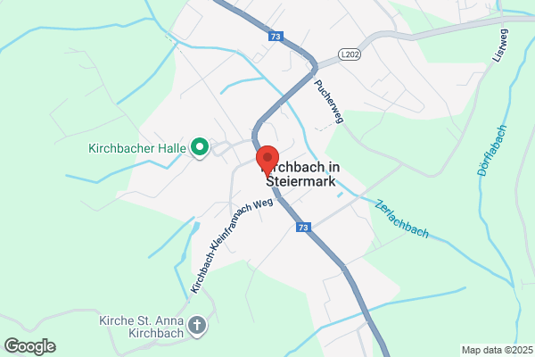 Otto Pucher Inc Serv Stn