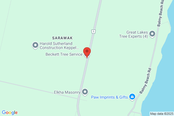 Beckett Tree Service