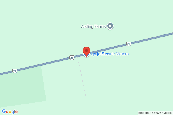 Lynjo Electric Motors