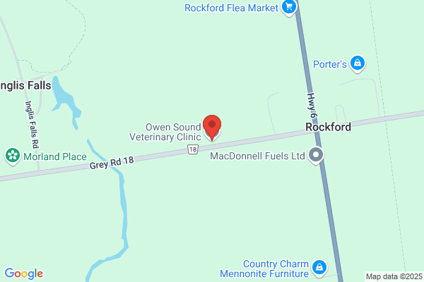 Owen Sound Veterinary Clinic
