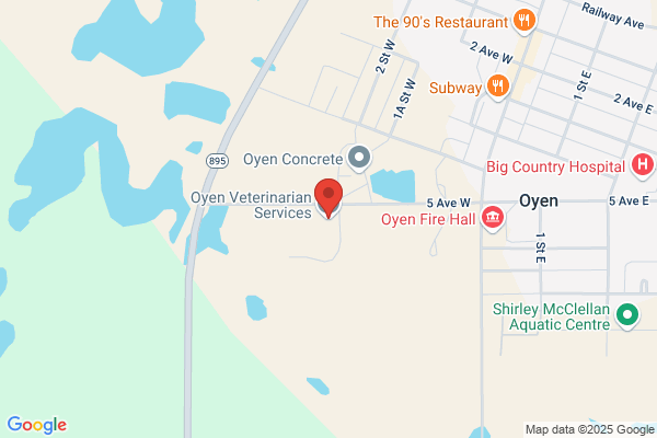 Oyen Veterinarian Services Ltd