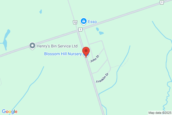 Blossom Hill Nursery