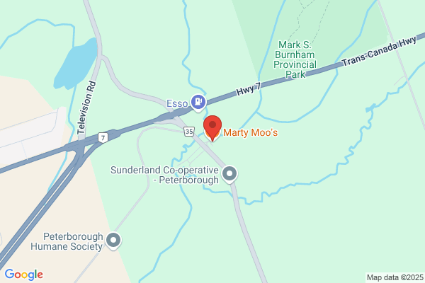 Marty Moo's