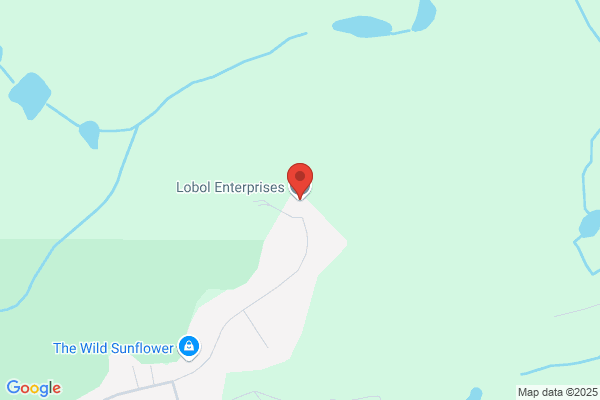 Lobol Enterprises Ltd