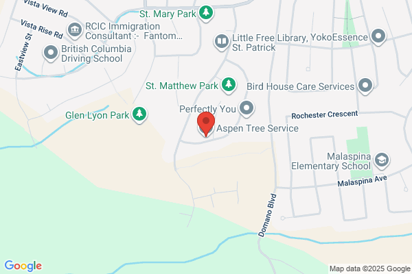 Aspen Tree Service