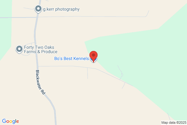 Bo's Best Kennels
