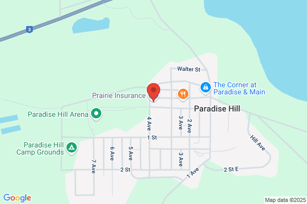 Paradise Hill Agencies Ltd