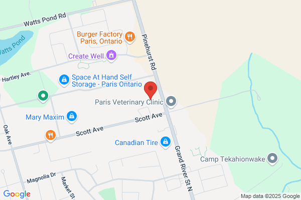 Carquest Auto Parts - WHITELAW AUTO - PARIS
