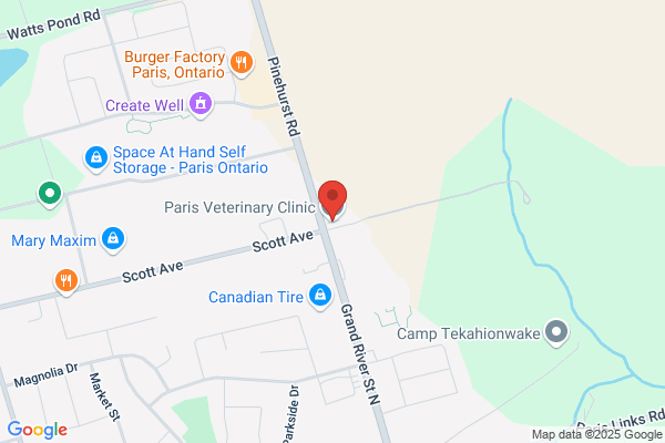 Michelle Cutler Veterinary Professio Corp O