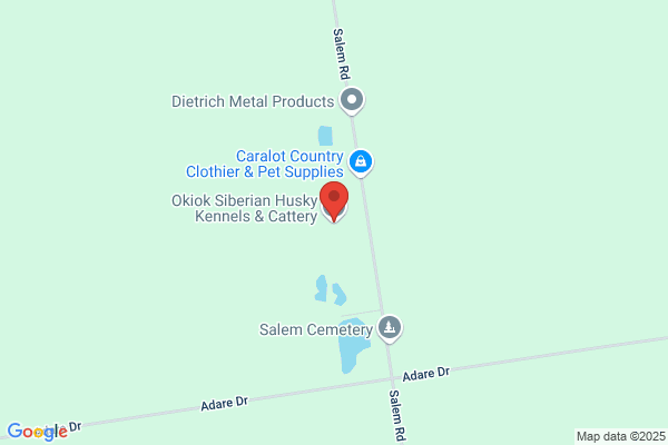Okiok Siberian Husky Kennels & Cattery