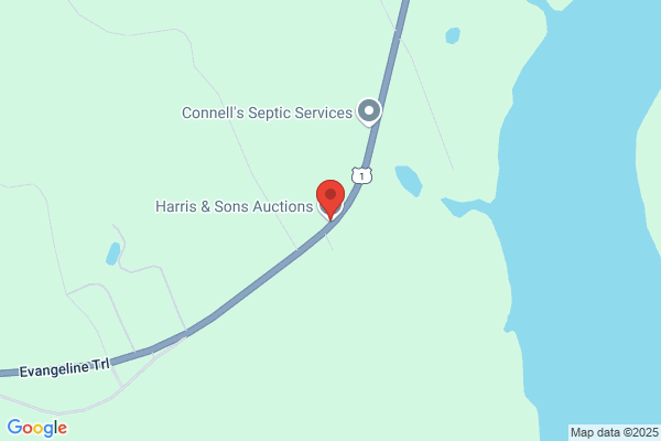 A2A-2 Action Auctioneers
