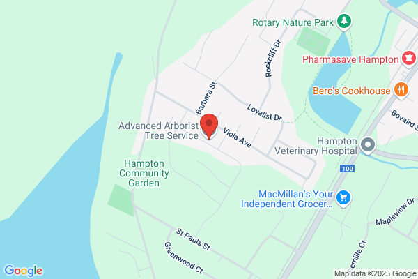 Advanced Arborist Tree Service Ltd