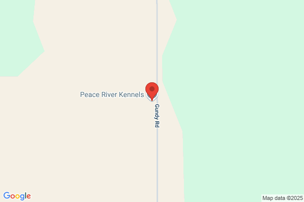 Care Kennel