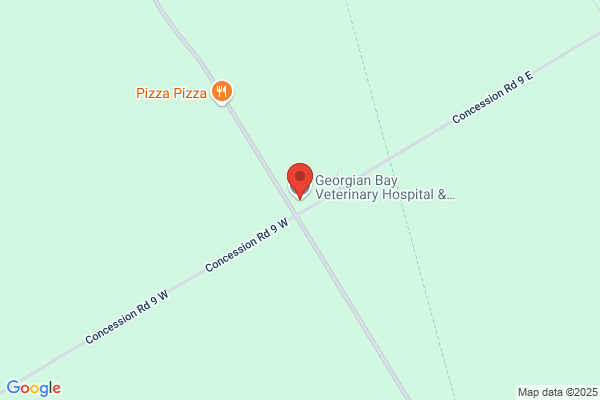 Georgian Bay Veterinary Hospital & Mobile Services