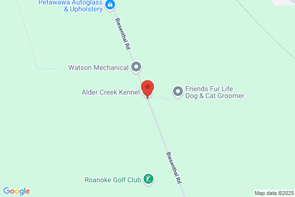 Alder Creek Kennel