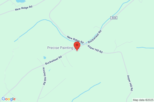 Precise Painting And Renovations
