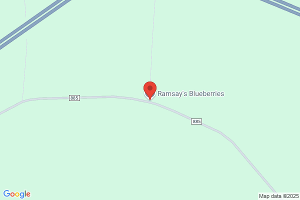 Blueberry Hill Market