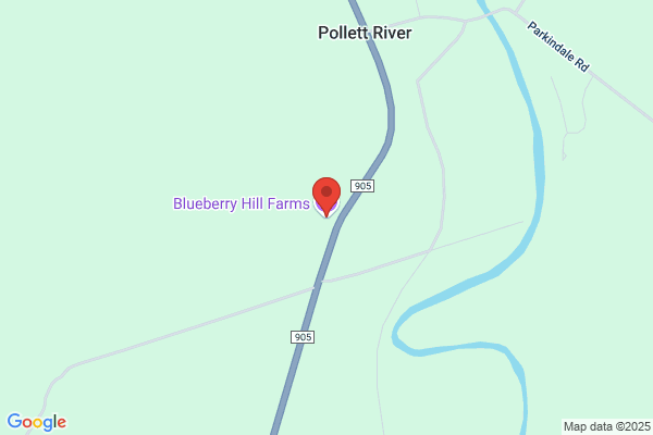 Blueberry Hill Market
