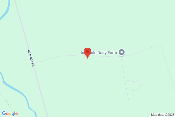 Country Care